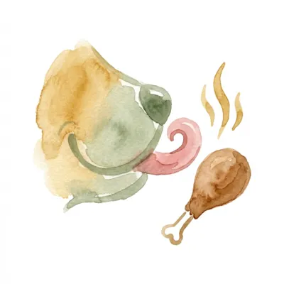 ActiFresh illustration